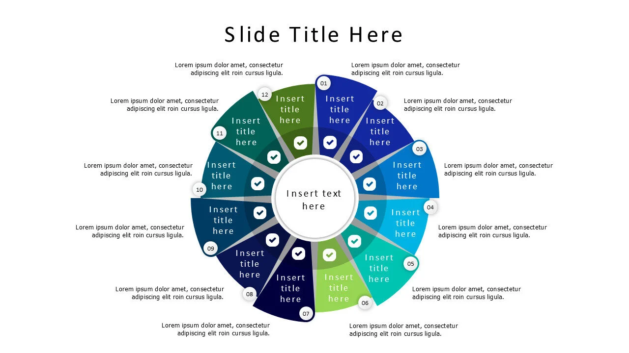 12 points flat rounded infographic