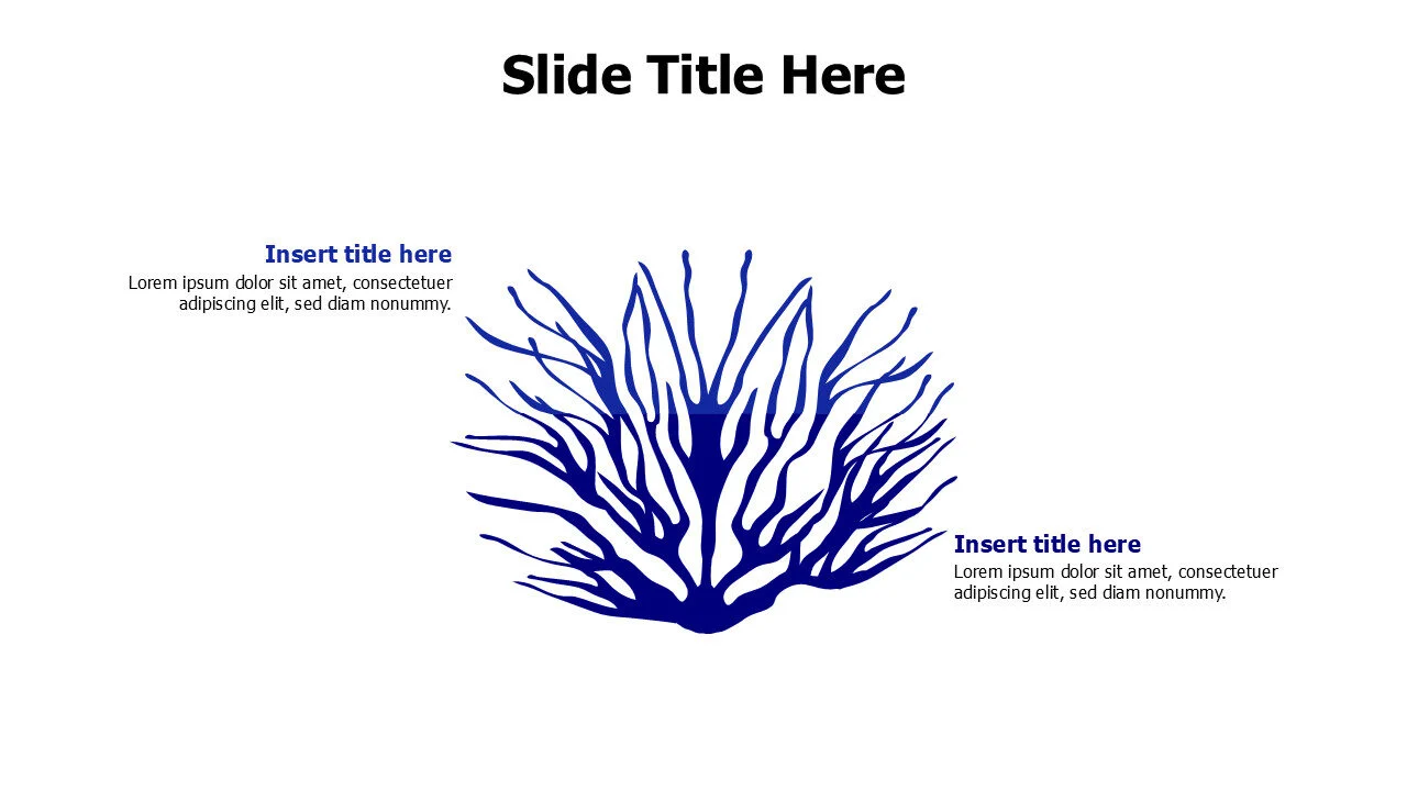 2 points divided colored coral reef infographic