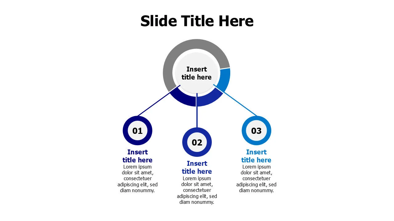 3 lines from a circle infographic