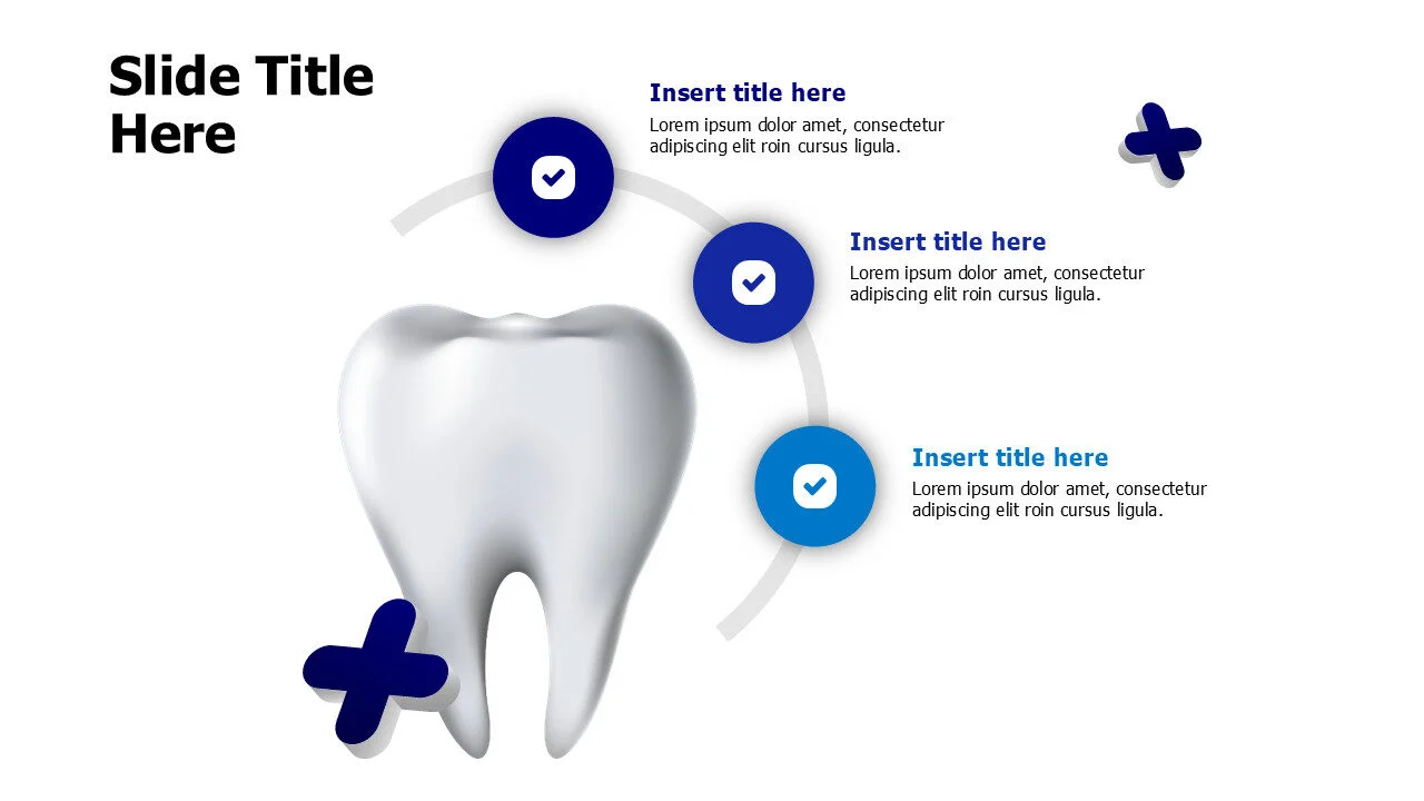 3 points 3D medical tooth infographic