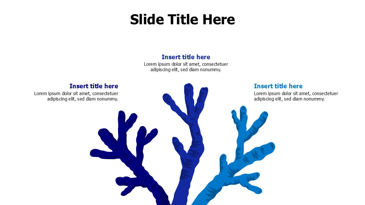 3 points colored coral reefs infographic