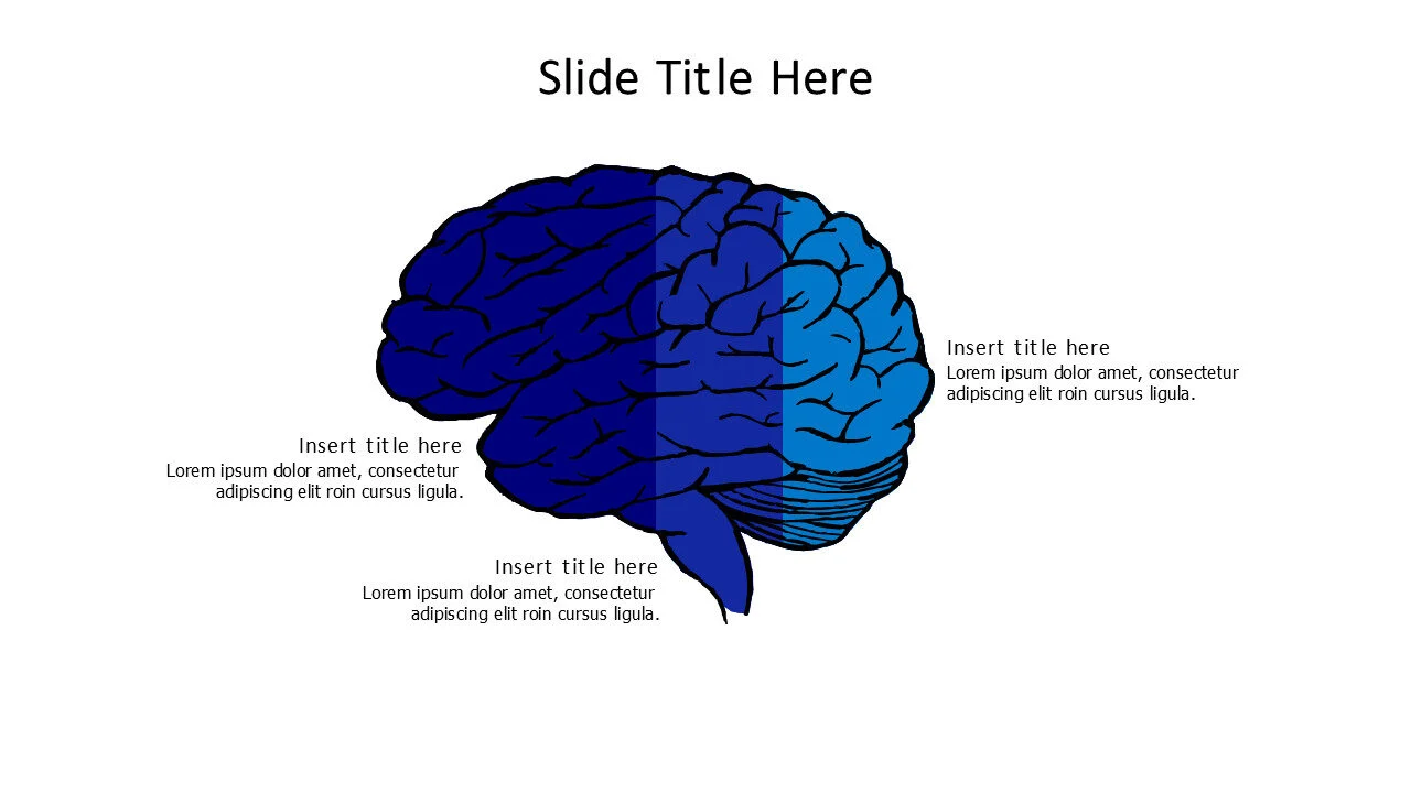 3 points divided doodle brain infographic