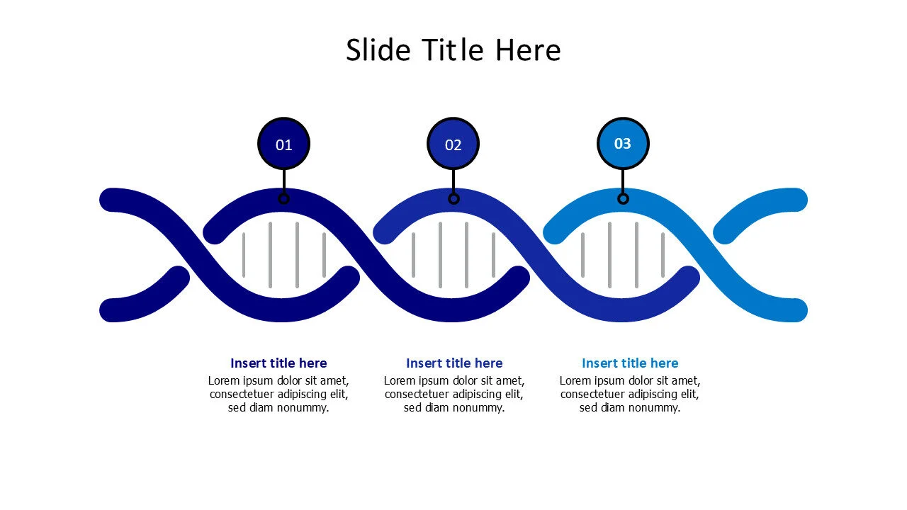 3 points with numbering DNA infographic