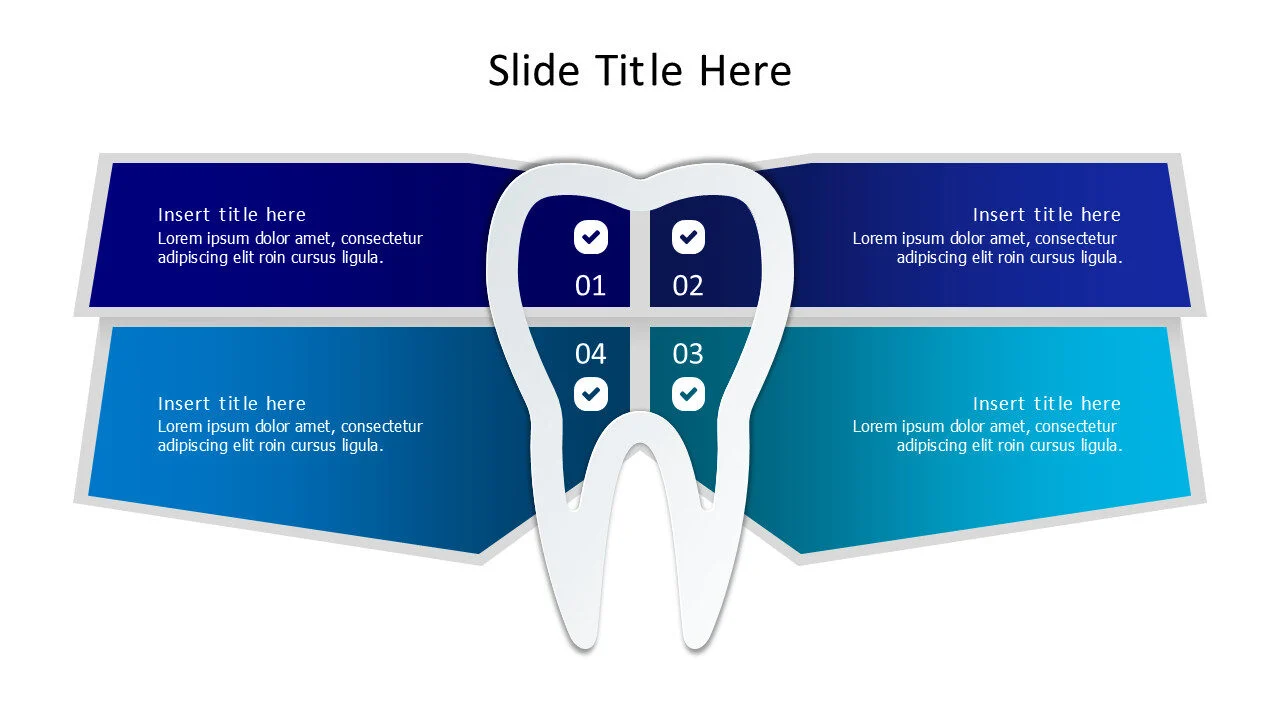 4 point infographic around a tooth