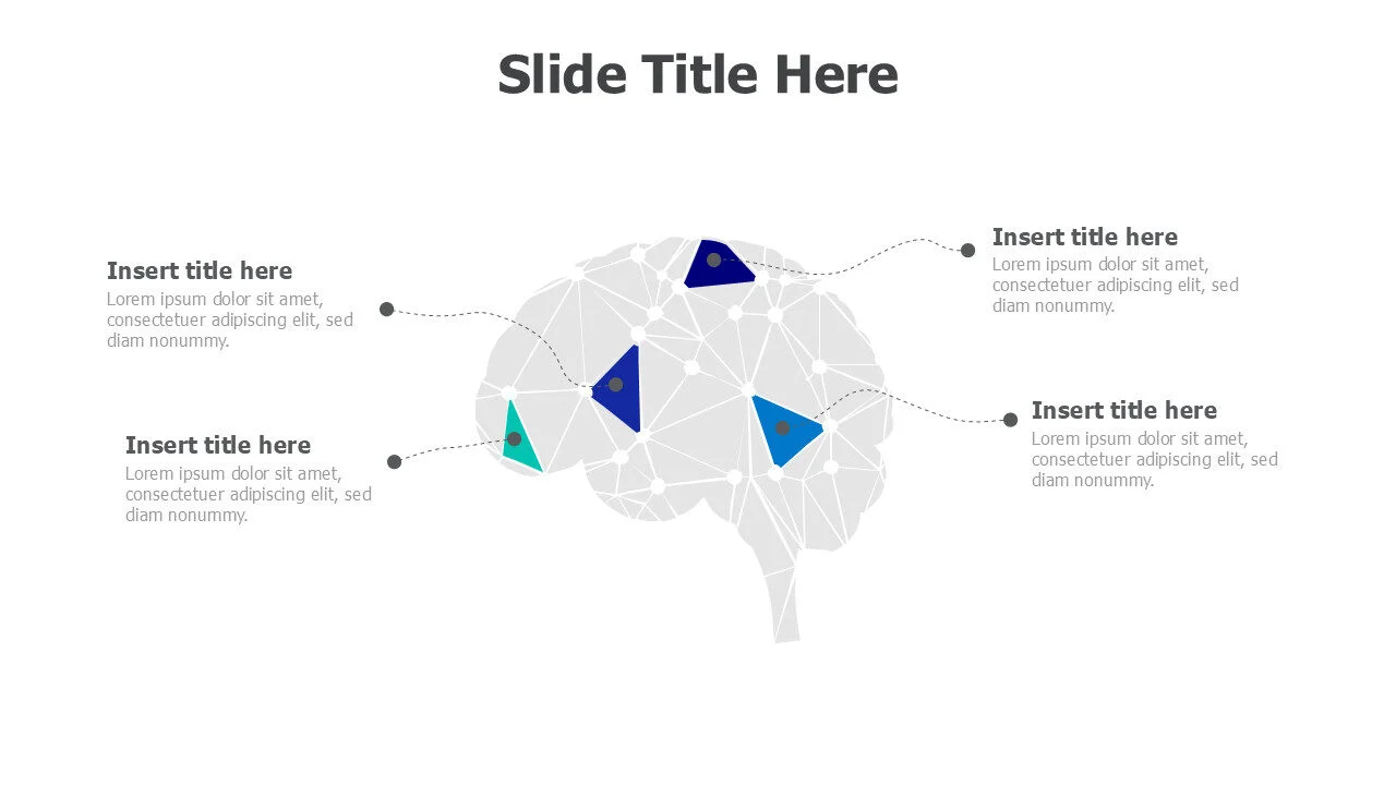 4 points brain infographic 20