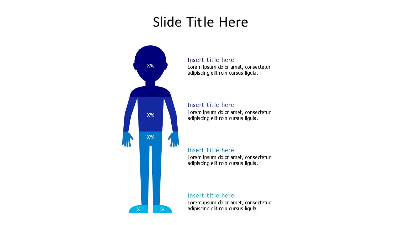 4 points human divided to percentages infographic