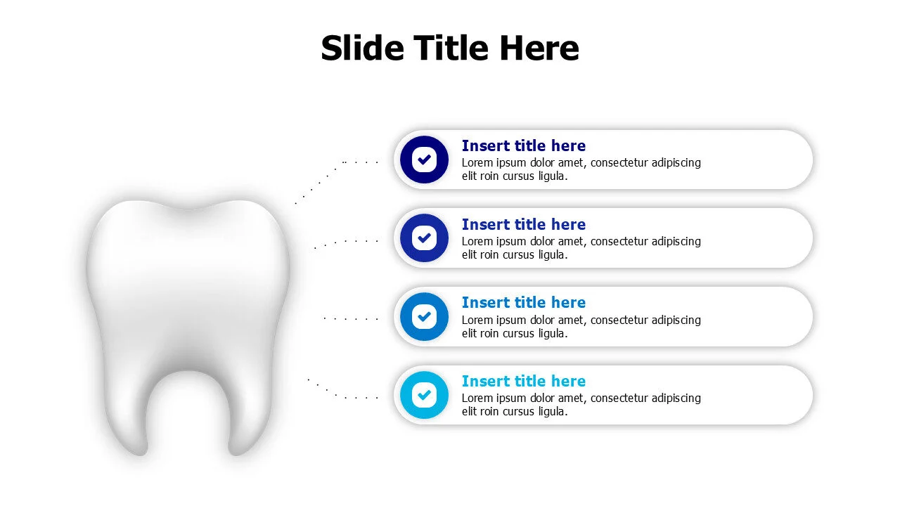 4 points infographic from a tooth
