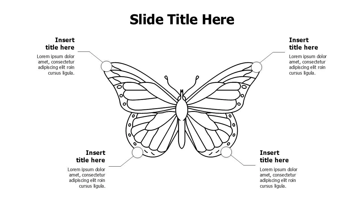 4 points outline butterfly infographic