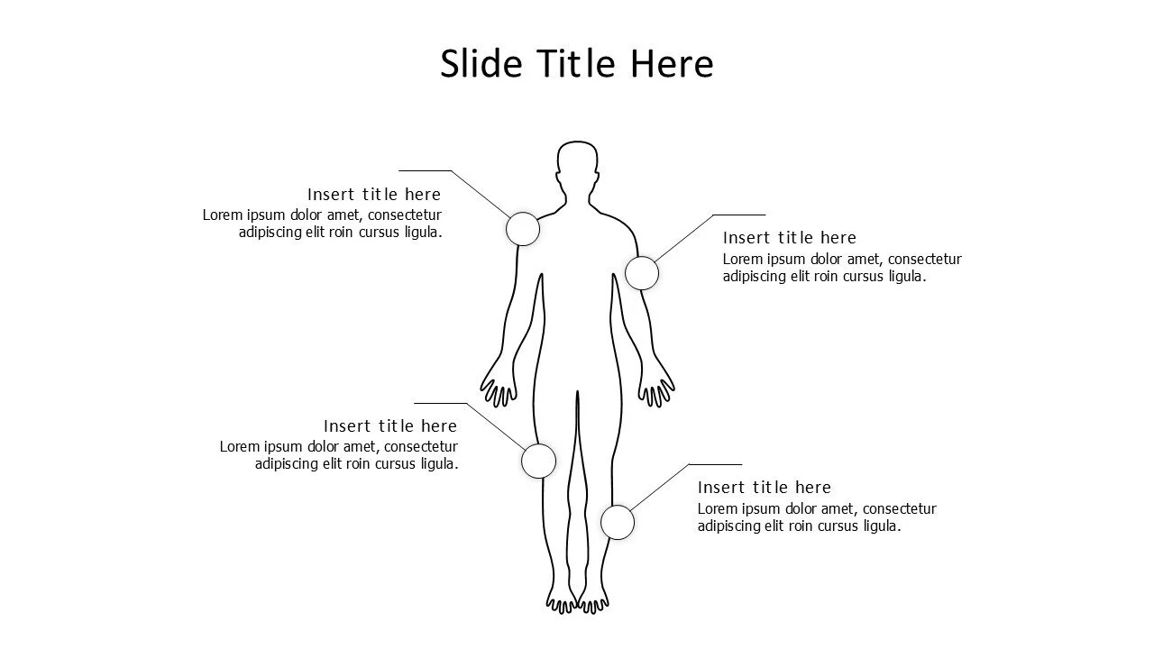 4 points outline human body infographic