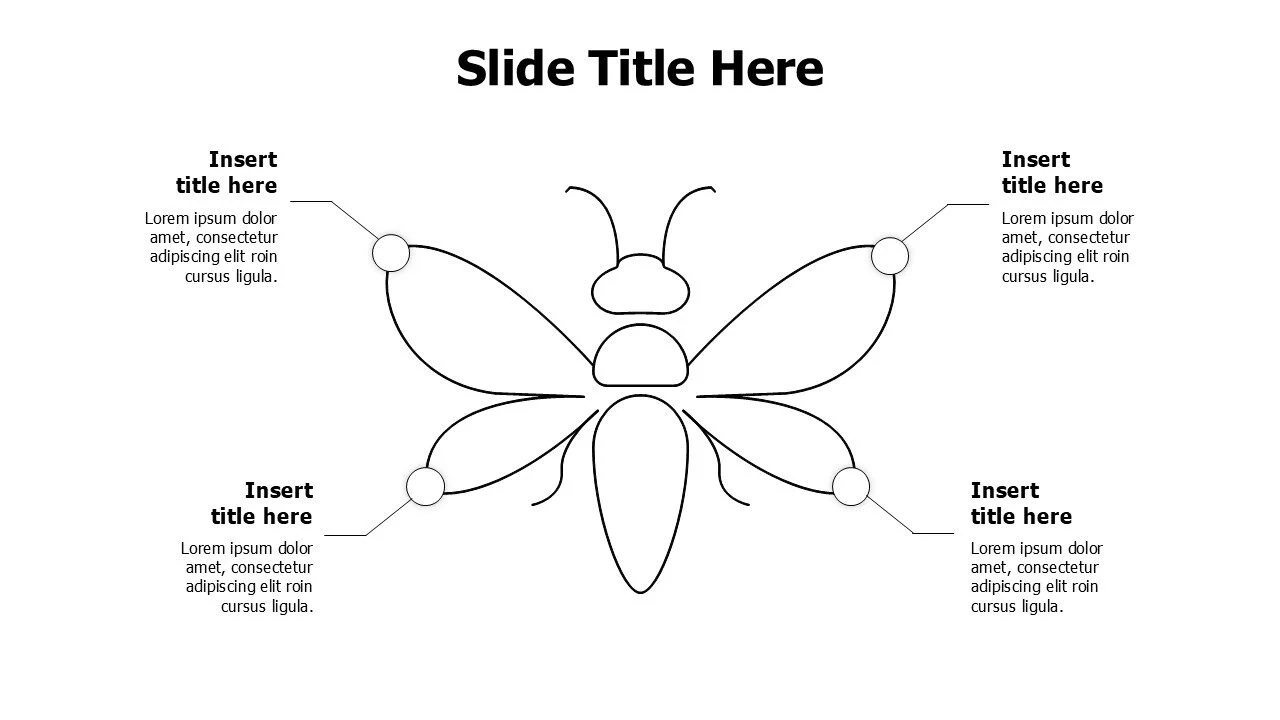 4 points outline locusts infographic