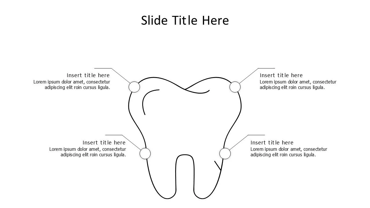 4 points outline tooth infographic