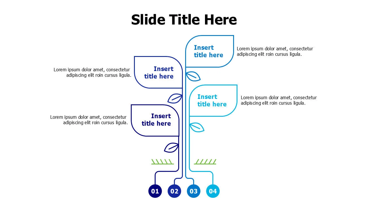 4 points plant infographic