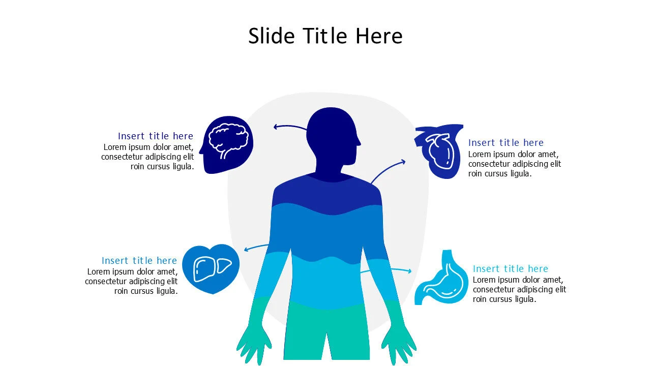 5 human body divided colored parts infographic
