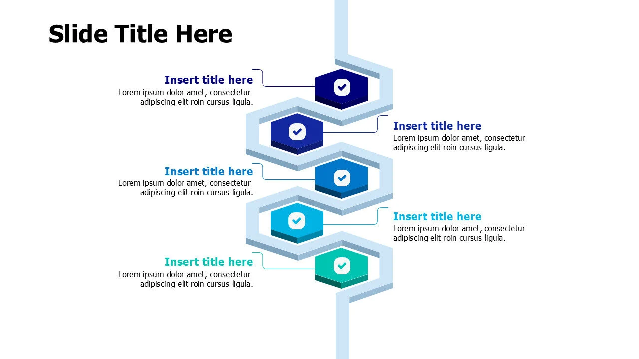 5 points 3D hexagons infographics