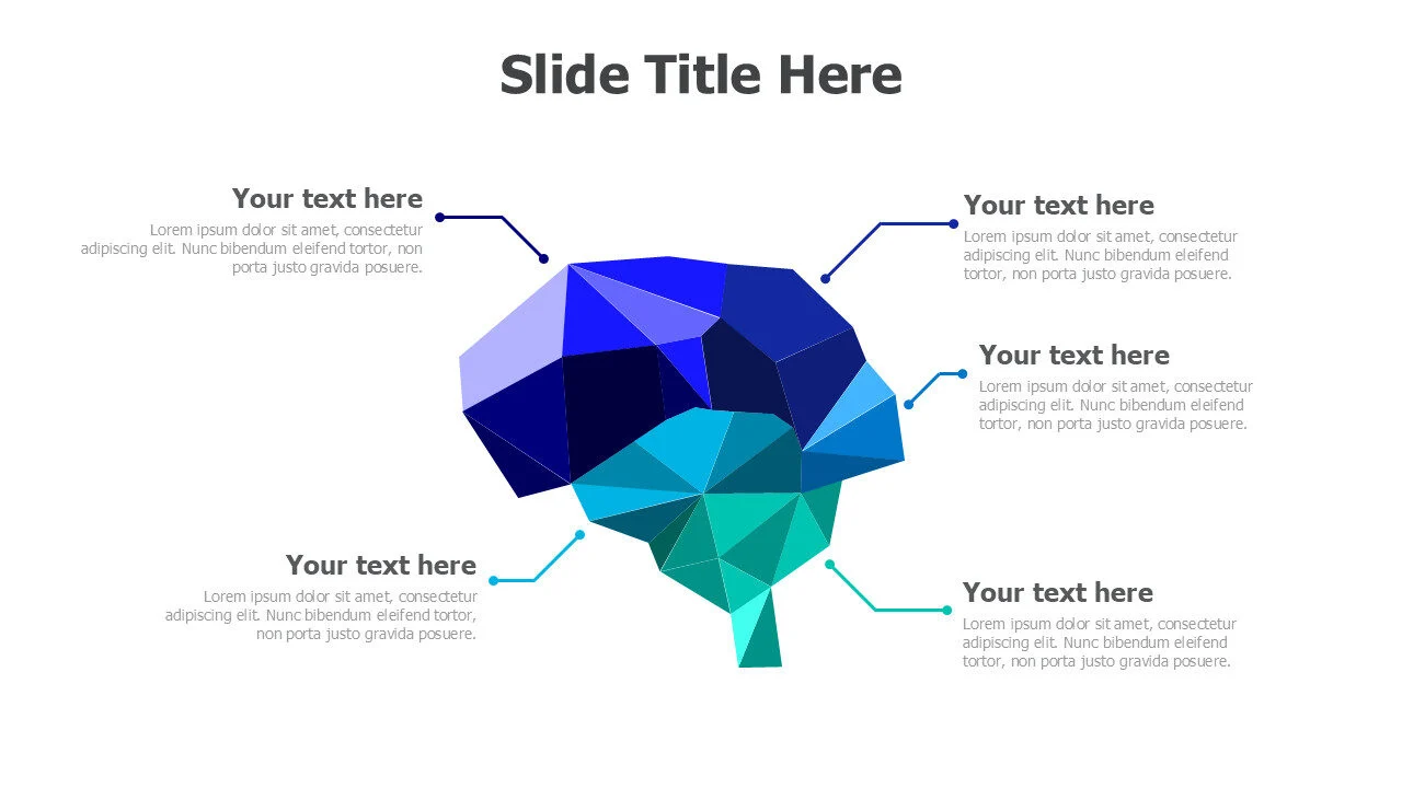 5 points brain infographic 2