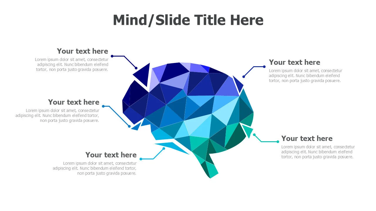 5 points brain infographic 3
