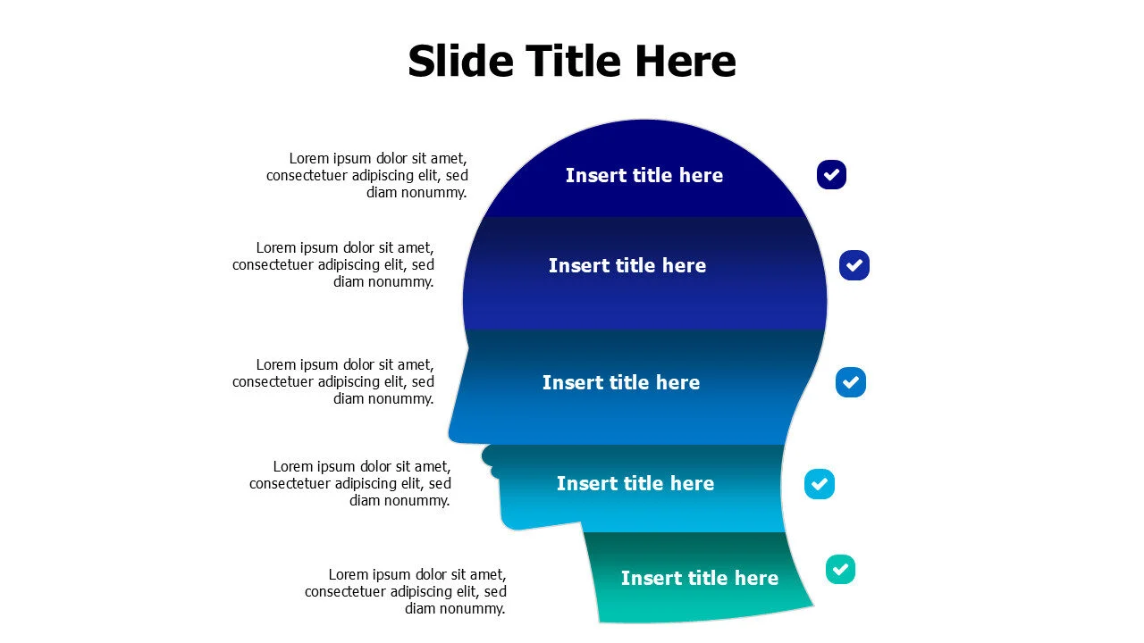 5 points divided human head infographic