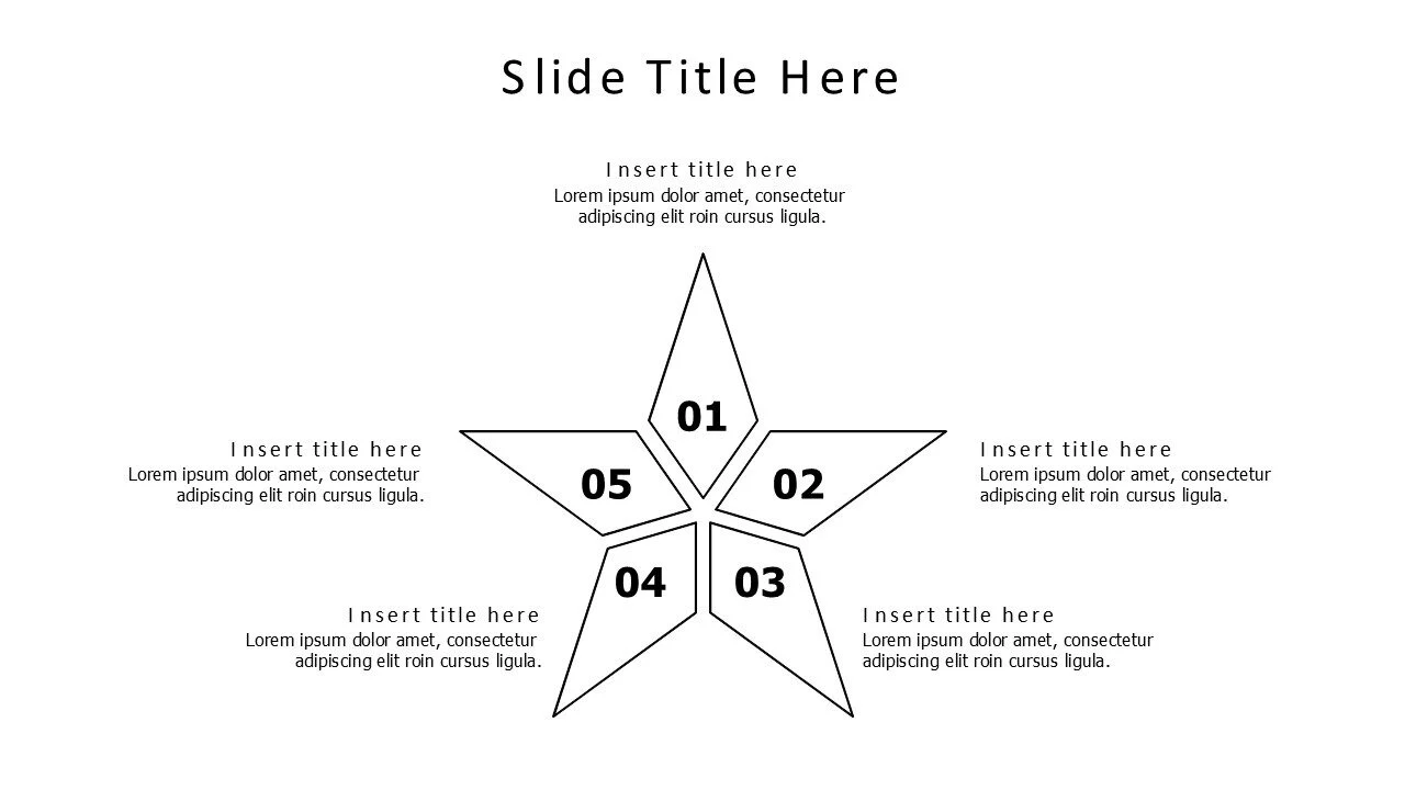 5 points divided star infographic