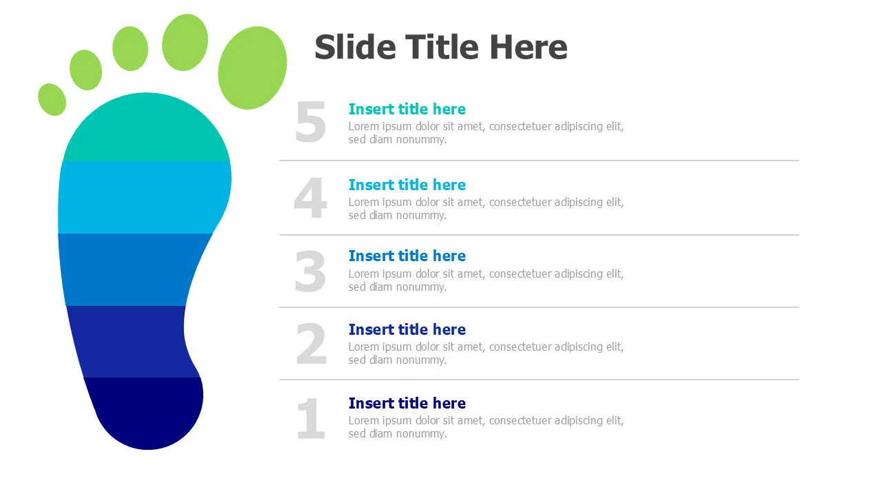 5 points footprint infographic 15