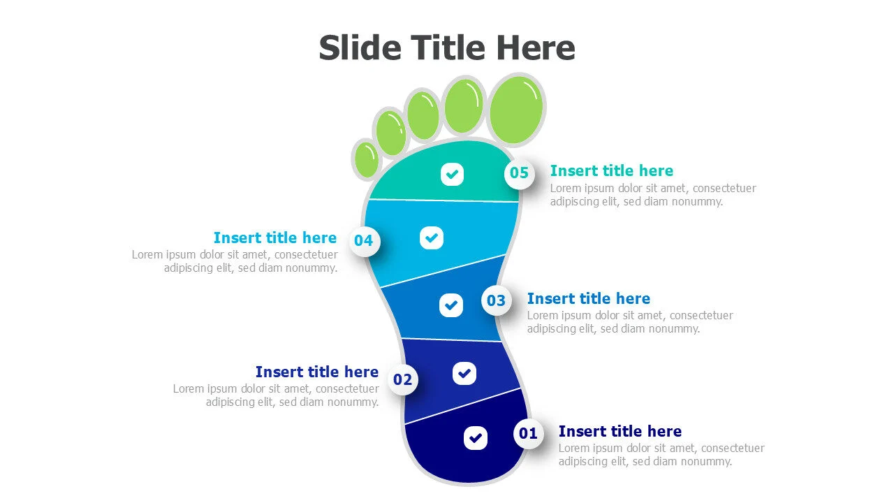 5 points footprint infographic 16