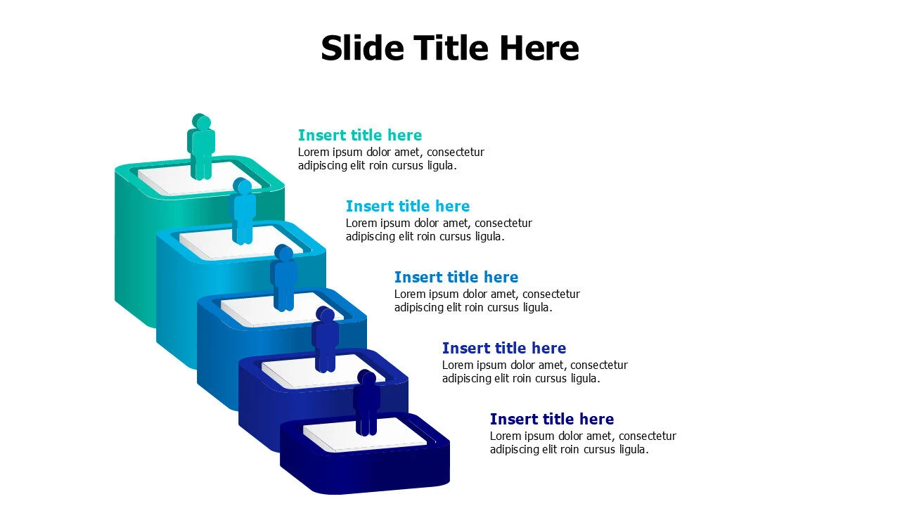 5 points levels infographic