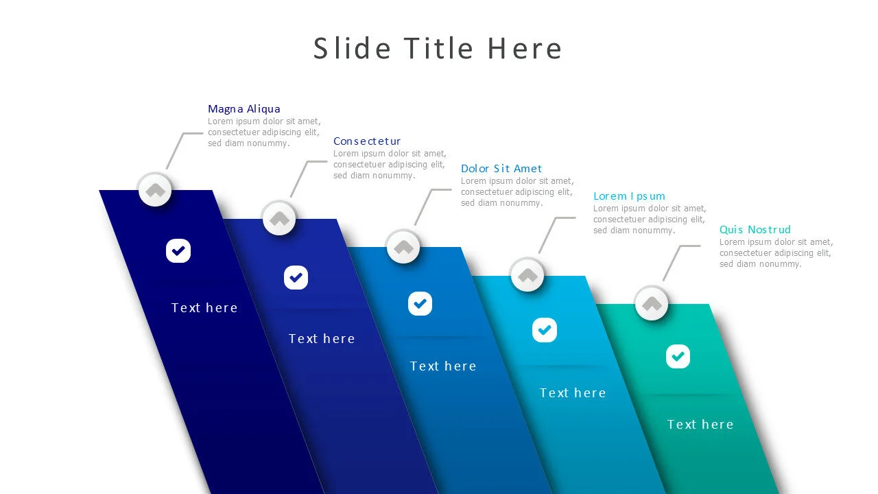 5 points multipurpose 22