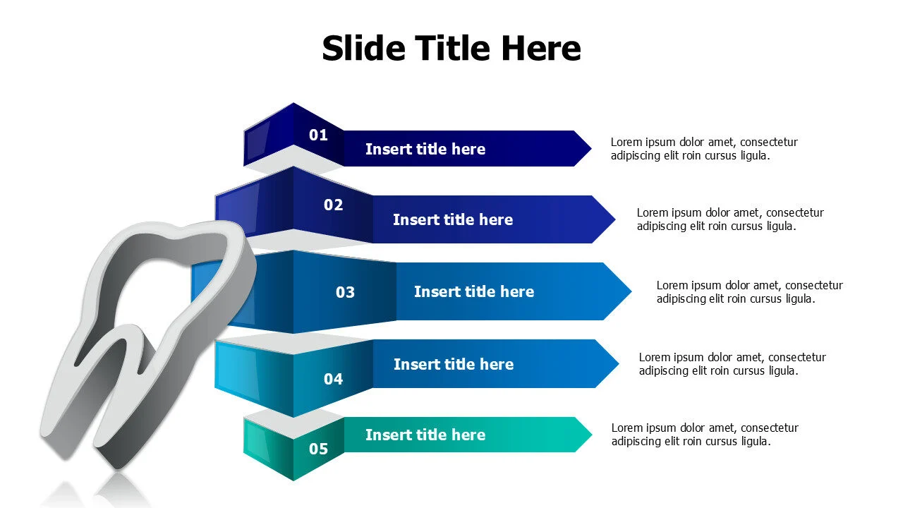 5 points prespective blocks with 3D tooth infographic
