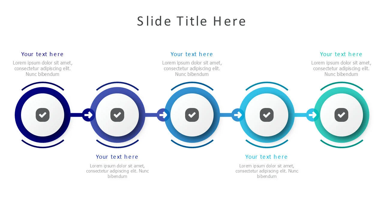 5 points timeline 19