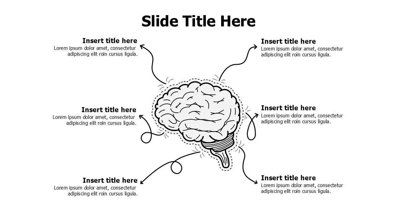 6 points doodle brain infographic