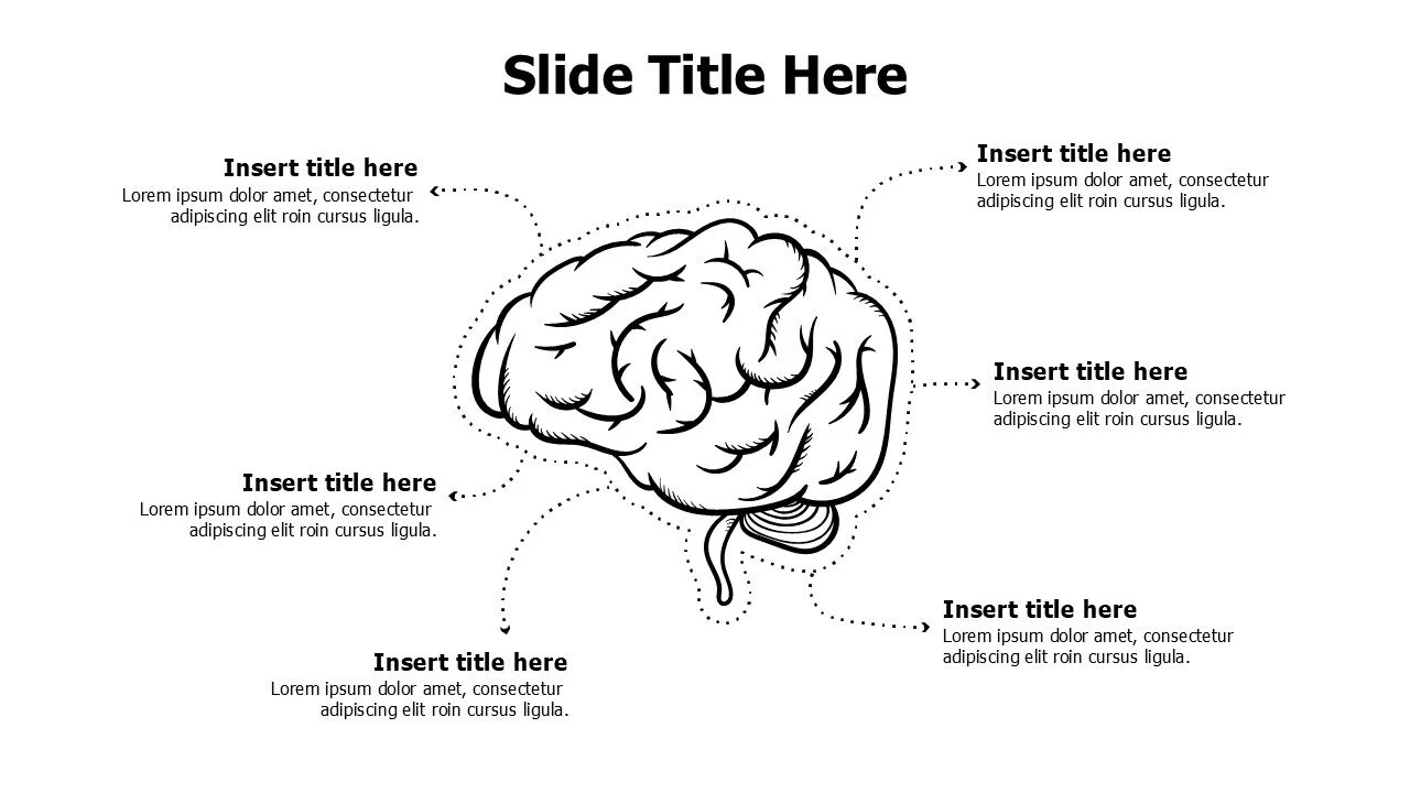 6 points doodle sketchy brain infographic