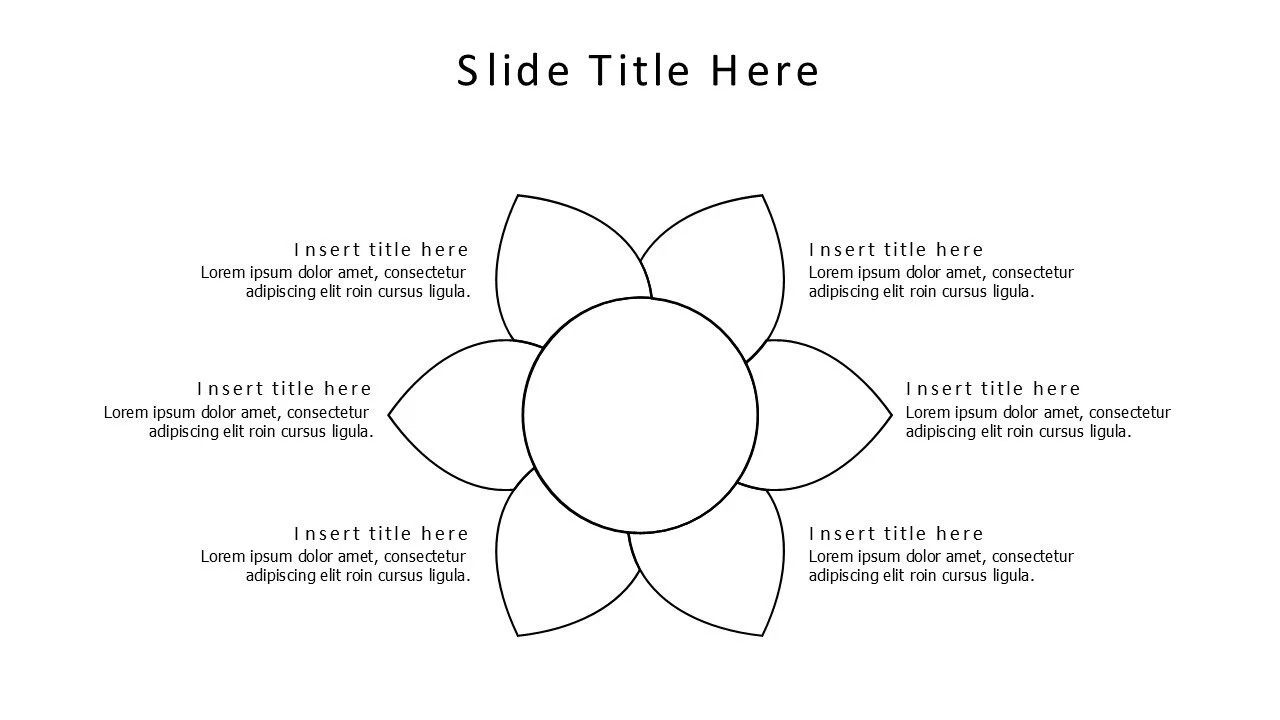 6 points outline flower infographic