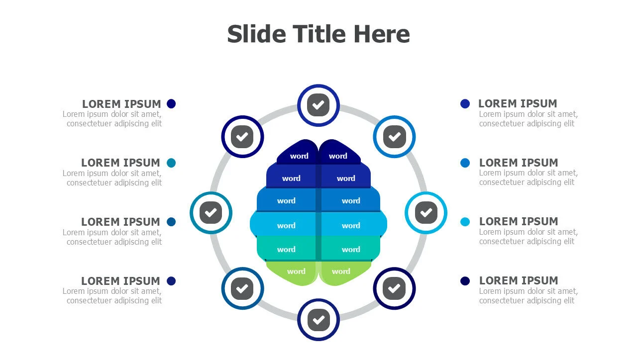 8 points brain infographic 4