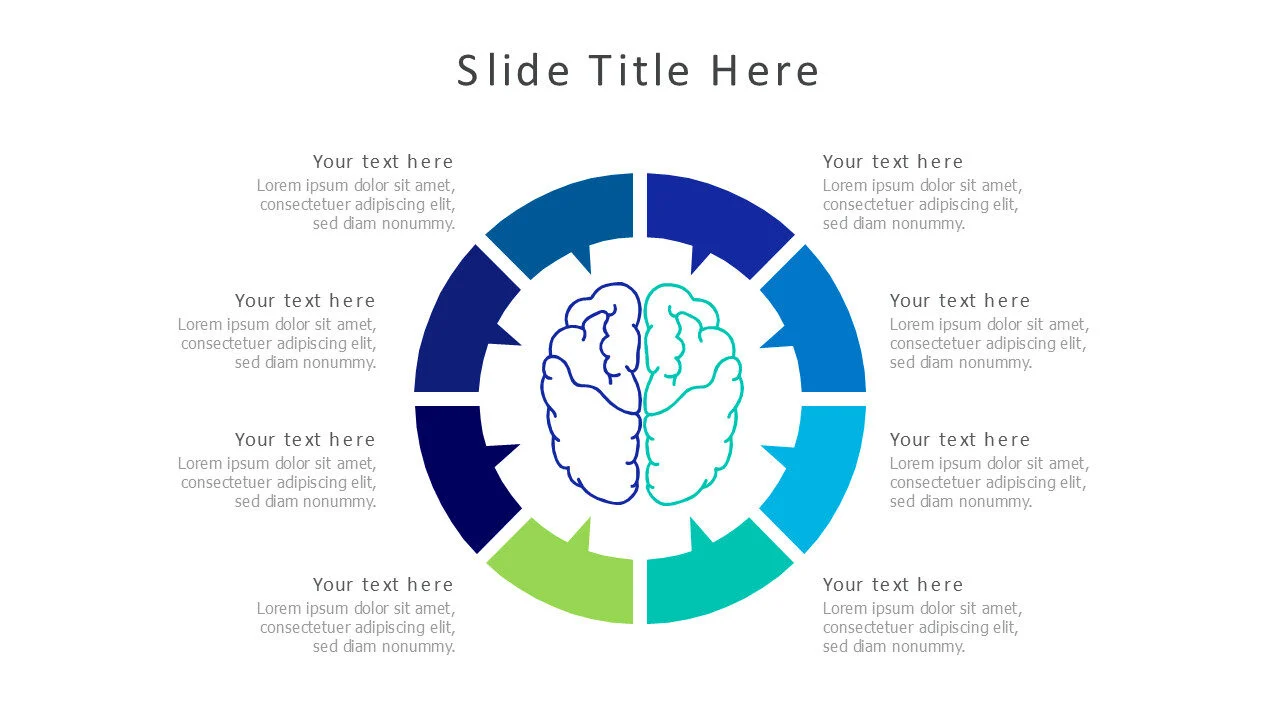 8 points round infographic