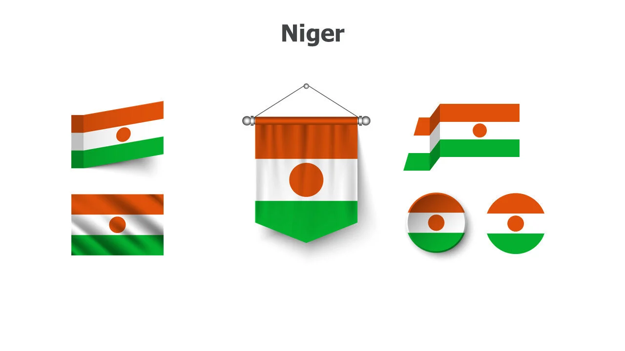 Niger flags