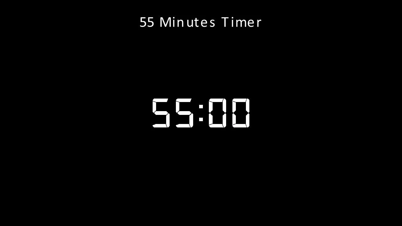 55 minutes timer white