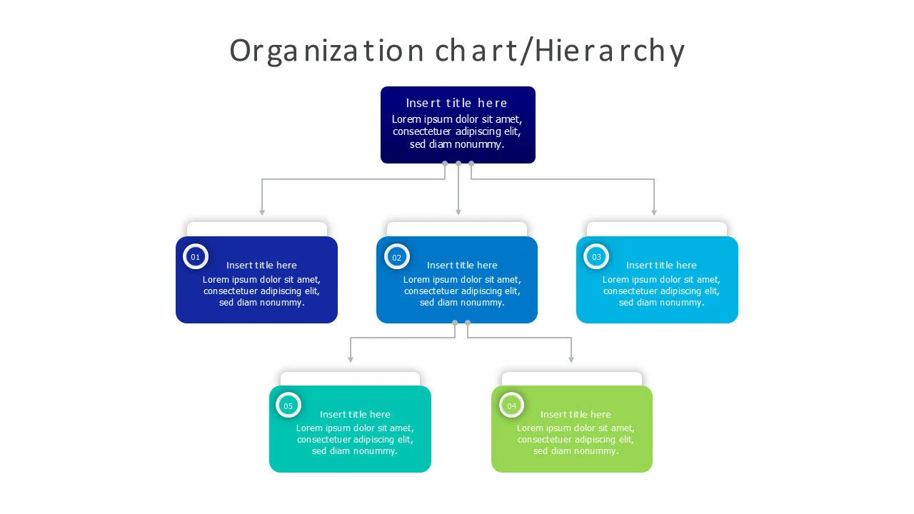 organization chart hierarchy 48